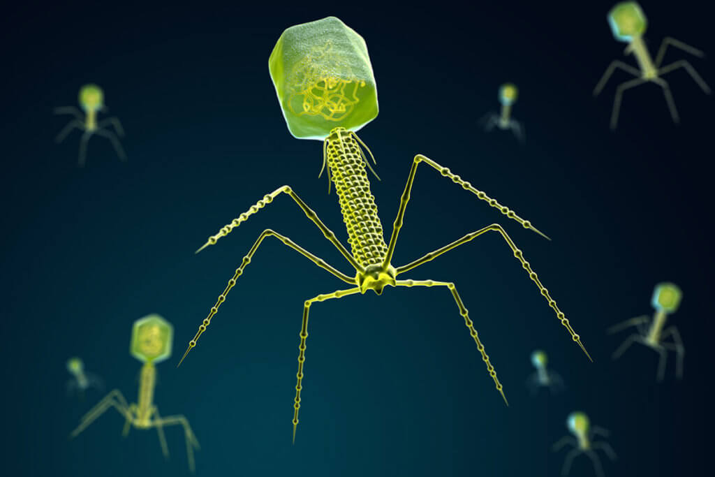 Application de phages contre l'acné - nouveau traitement